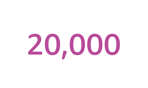 20,000